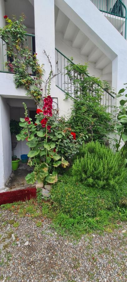 Da Ersilia Apartment Cernobbio Ngoại thất bức ảnh