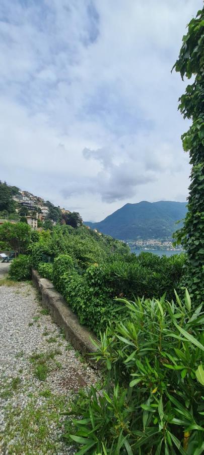 Da Ersilia Apartment Cernobbio Ngoại thất bức ảnh